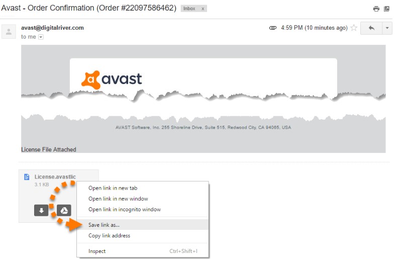 Avast License File