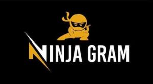 NinjaGram Crack 7.6.4.9 Torrent + Serial Key Download {2021}